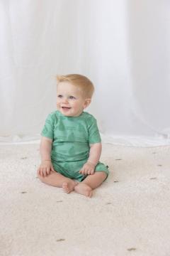 Afbeelding voor product T-shirt van het merk Feetje in het Groen