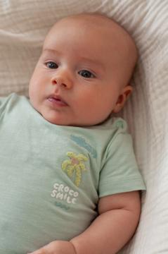 Afbeelding voor product T-shirt van het merk Feetje in het Groen