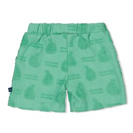 Afbeelding voor product Short van het merk Feetje in het Groen