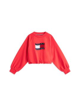 Afbeelding voor product Sweater van het merk Tommy Jeans in het Rood