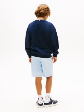 Afbeelding voor product Sweater van het merk Tommy Jeans in het Marine