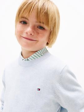 Afbeelding voor product Sweater van het merk Tommy Jeans in het Blauw