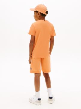 Afbeelding voor product T-shirt van het merk Tommy Jeans in het Oranje