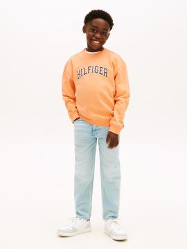 Afbeelding voor product Sweater van het merk Tommy Jeans in het Oranje