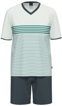 Afbeelding voor product Pyjama van het merk Ammann in het Groen